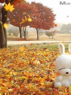 ŮΪʦ,ҳʦ޵г³ȫĶ