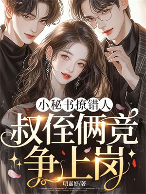 小秘书撩错人,叔侄俩竞争上岗全文免费阅读